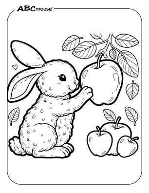 free printable bunny rabbit coloring pages