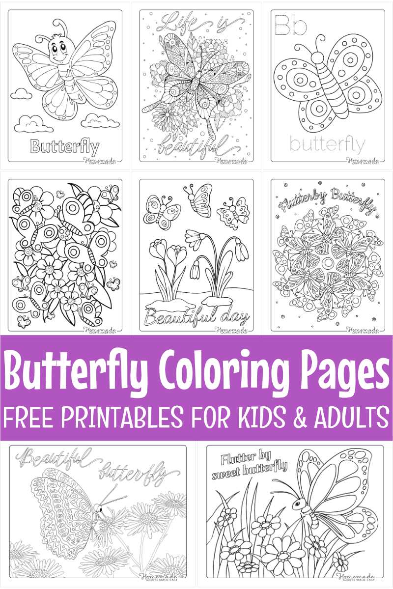 free printable butterfly pictures to print