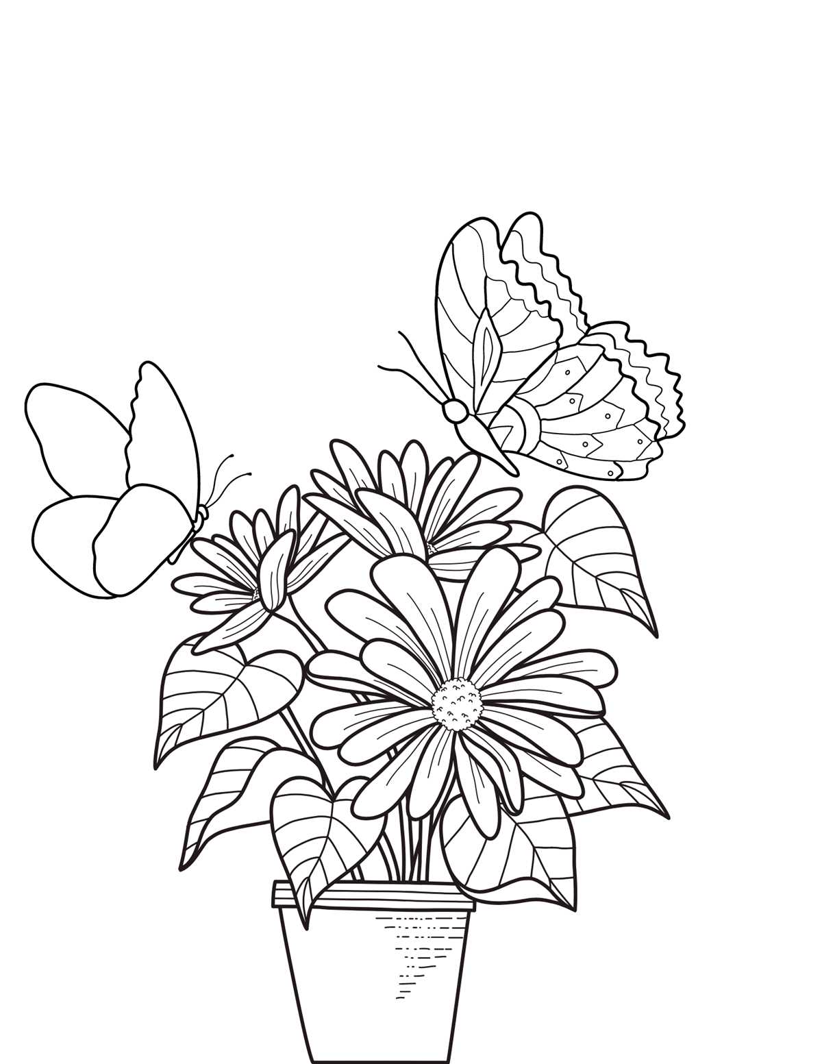 free printable coloring pages flowers and butterflies
