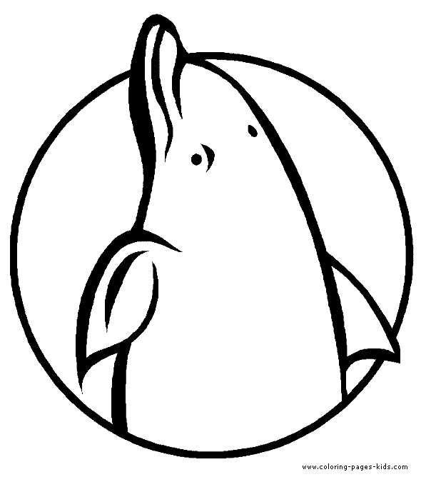 free printable coloring pages of dolphins