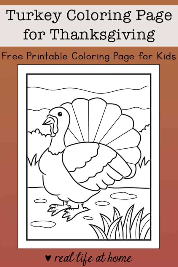 free printable images of turkeys