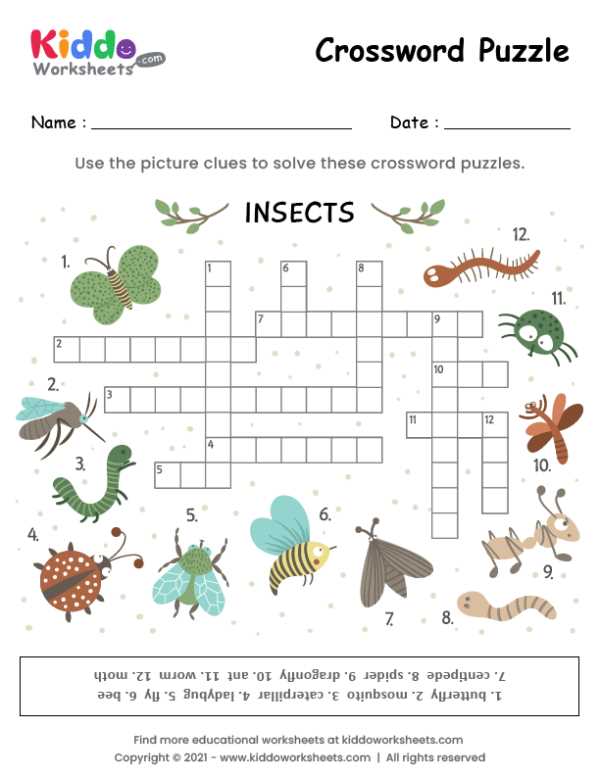 free printable insect worksheets