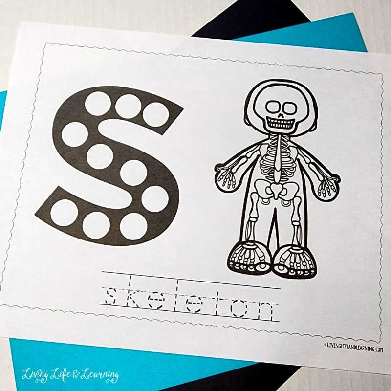 free printable skeleton worksheet