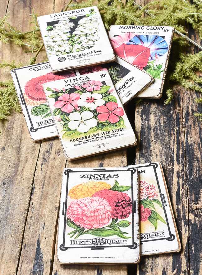 free printable vintage seed packets