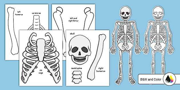 free skeleton printable