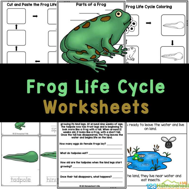 frog life cycle printable