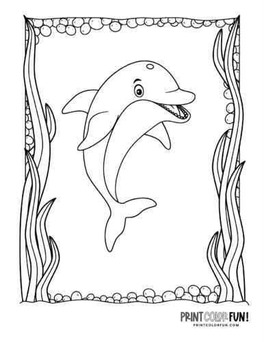 printable coloring pages dolphin