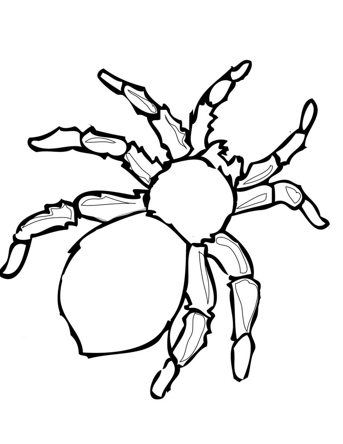 black spider printable