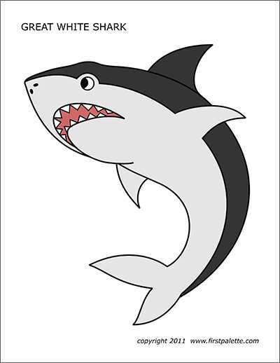 great white shark printable