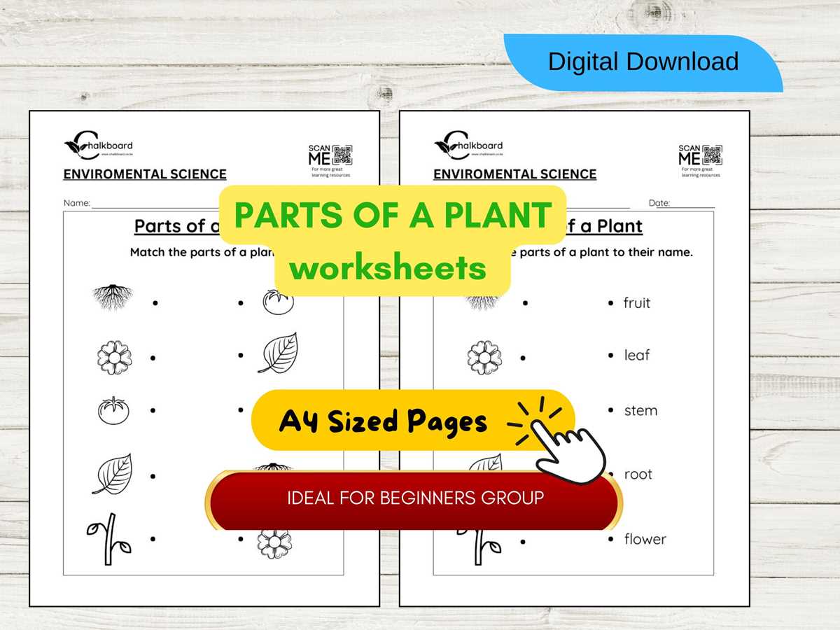 printable plant parts