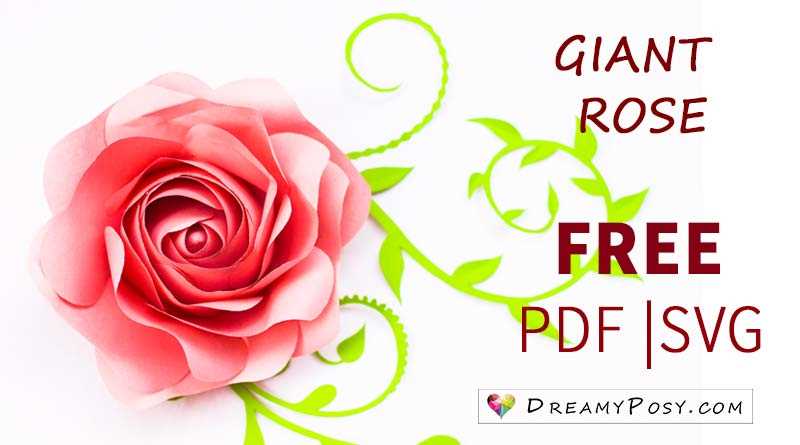 rose printable template