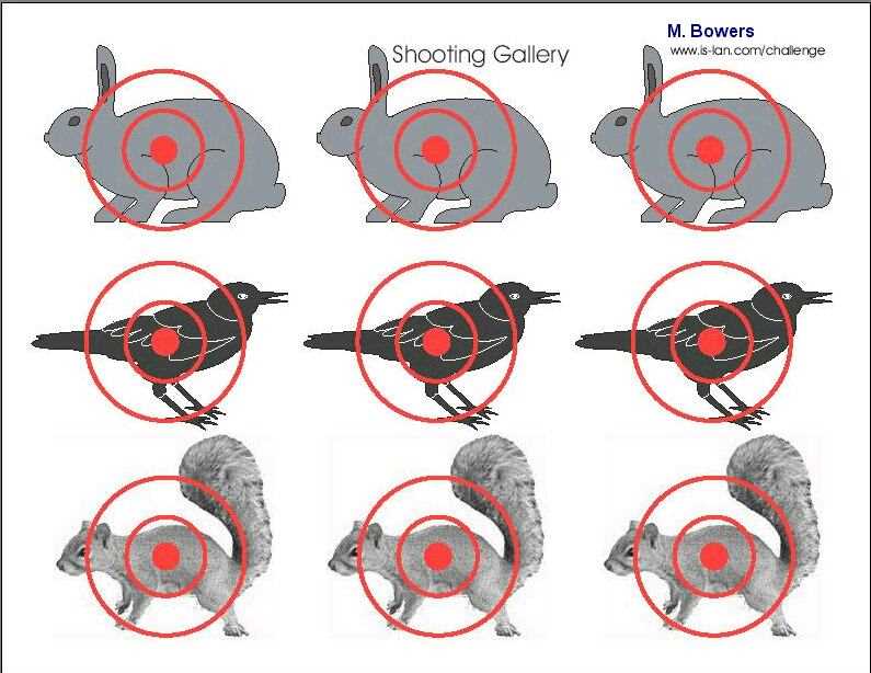 pistol range targets printable