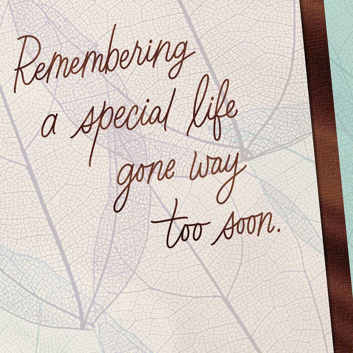 hallmark free printable sympathy cards