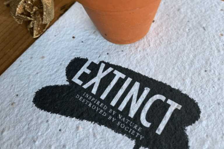 printable seed paper