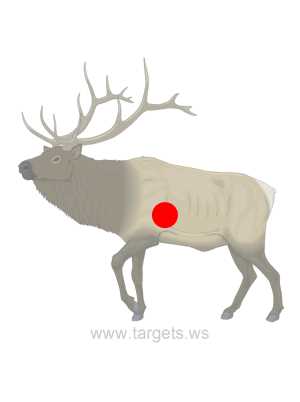 animal targets printable
