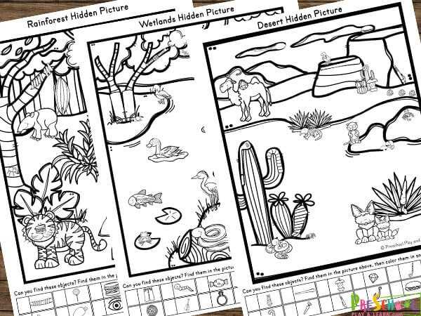 hidden pictures printable