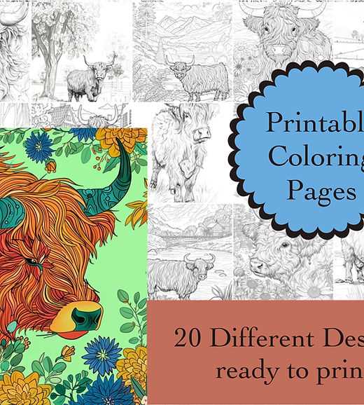 highland cow coloring pages printable