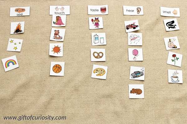 5 senses printables free