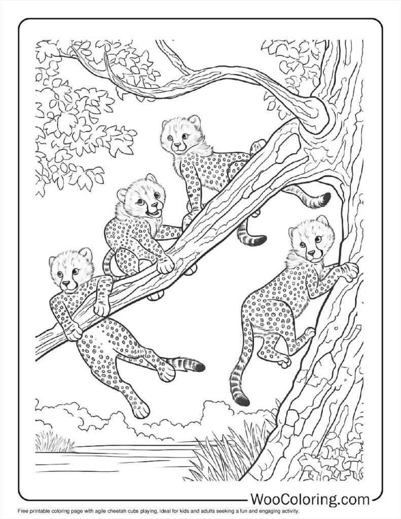 cheetah printable coloring pages