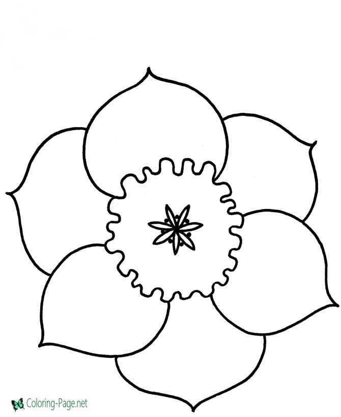 images of printable flowers