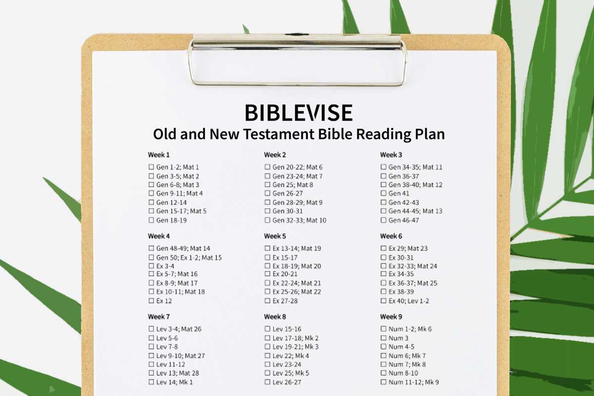 printable 1 year bible reading plan