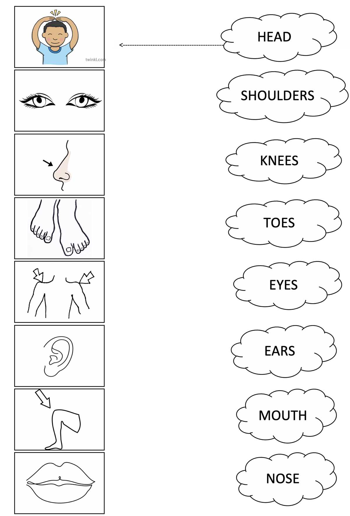 printable head shoulders knees and toes