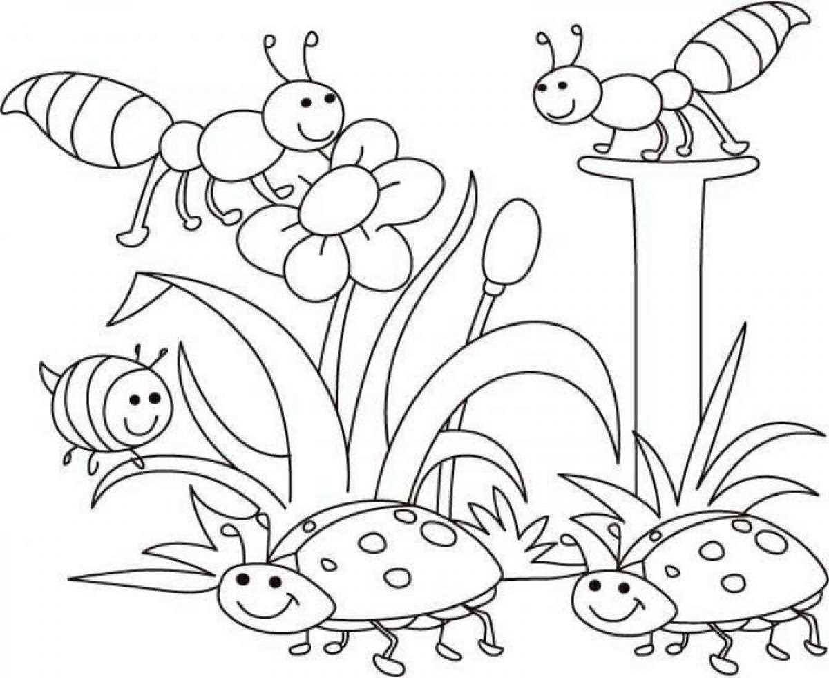 printable coloring pages insects