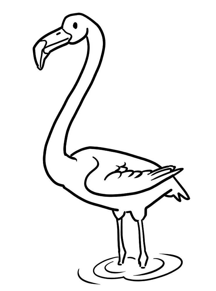 printable flamingo coloring pages