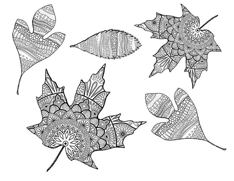 leaf coloring sheets printable