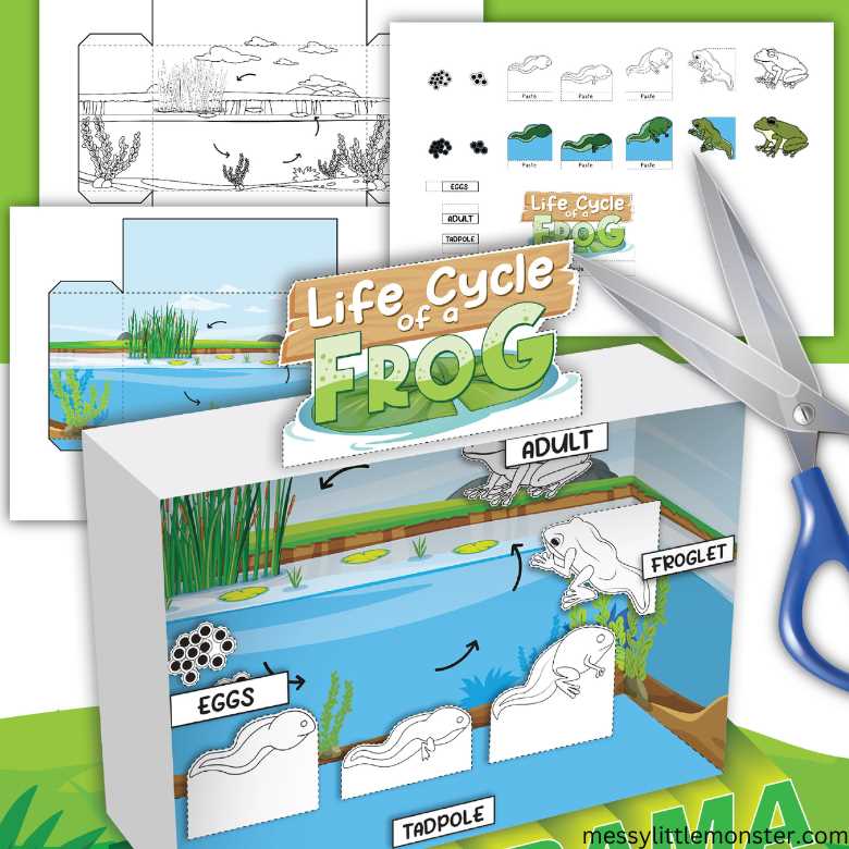 life cycle of a frog printable