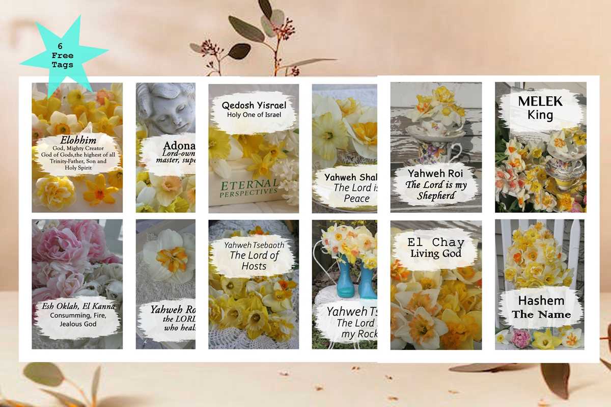 praying the names of god printable