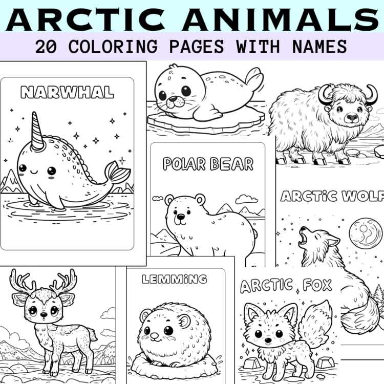 printable arctic animals coloring pages