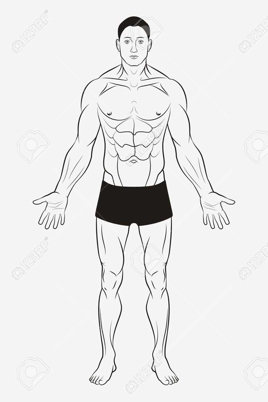 free human body outline printable