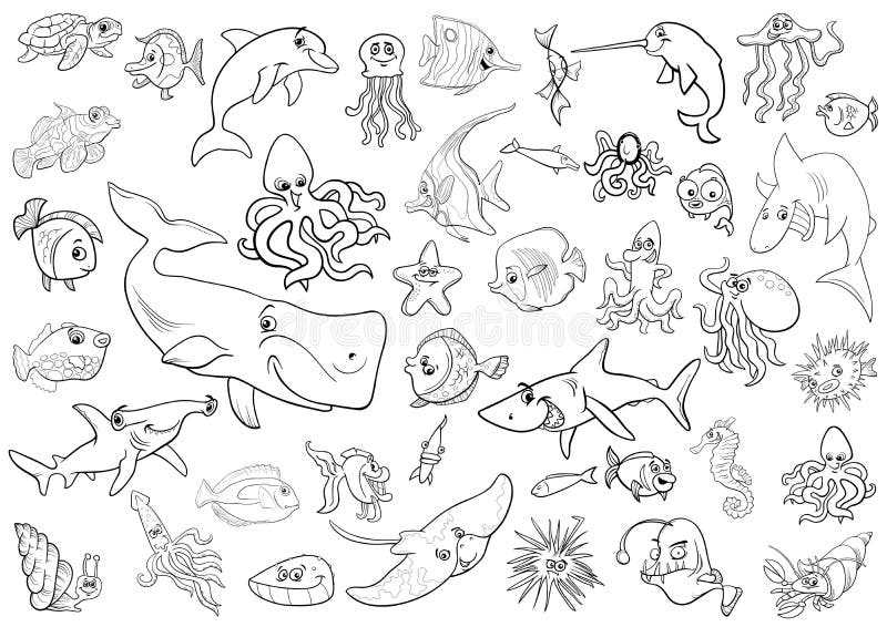 free printable ocean life coloring pages