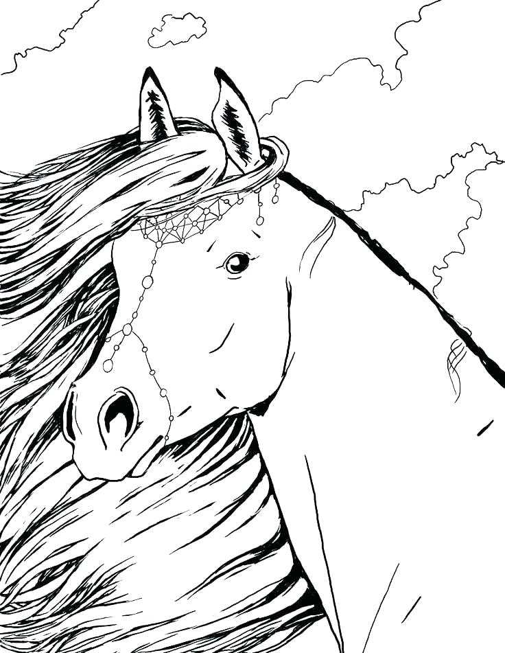 printable horse pictures to color