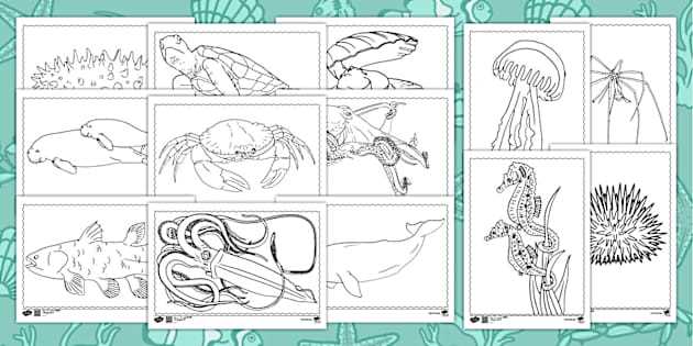 ocean printable coloring pages