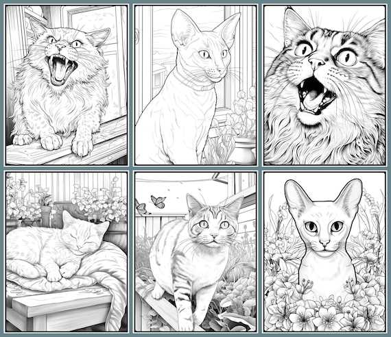 realistic cat coloring pages printable