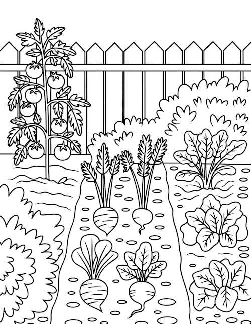 printable garden pictures to color