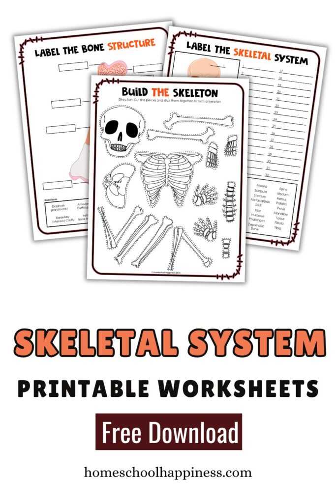 free printable skeleton worksheet