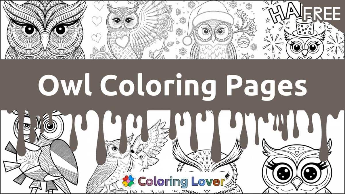 free printable owl coloring sheets