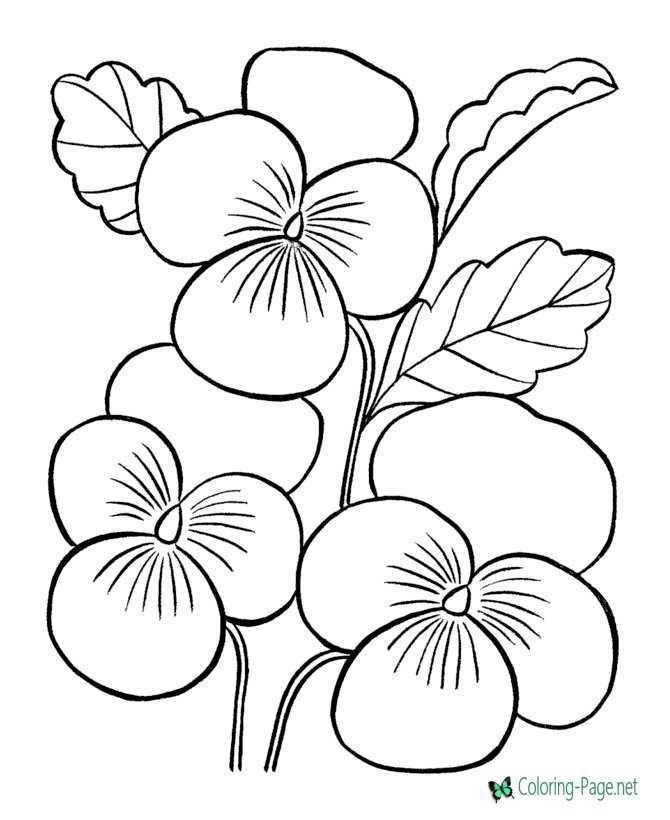 coloring pages for flowers printable