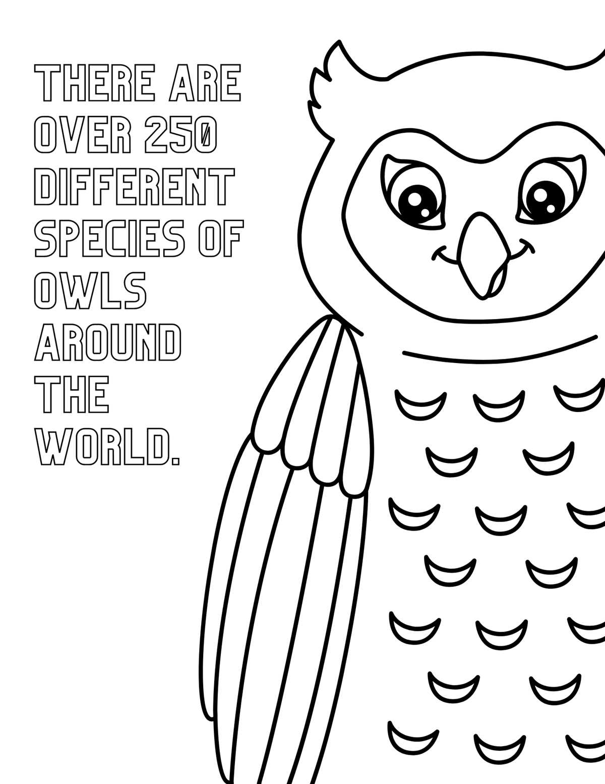 owl printable coloring pages