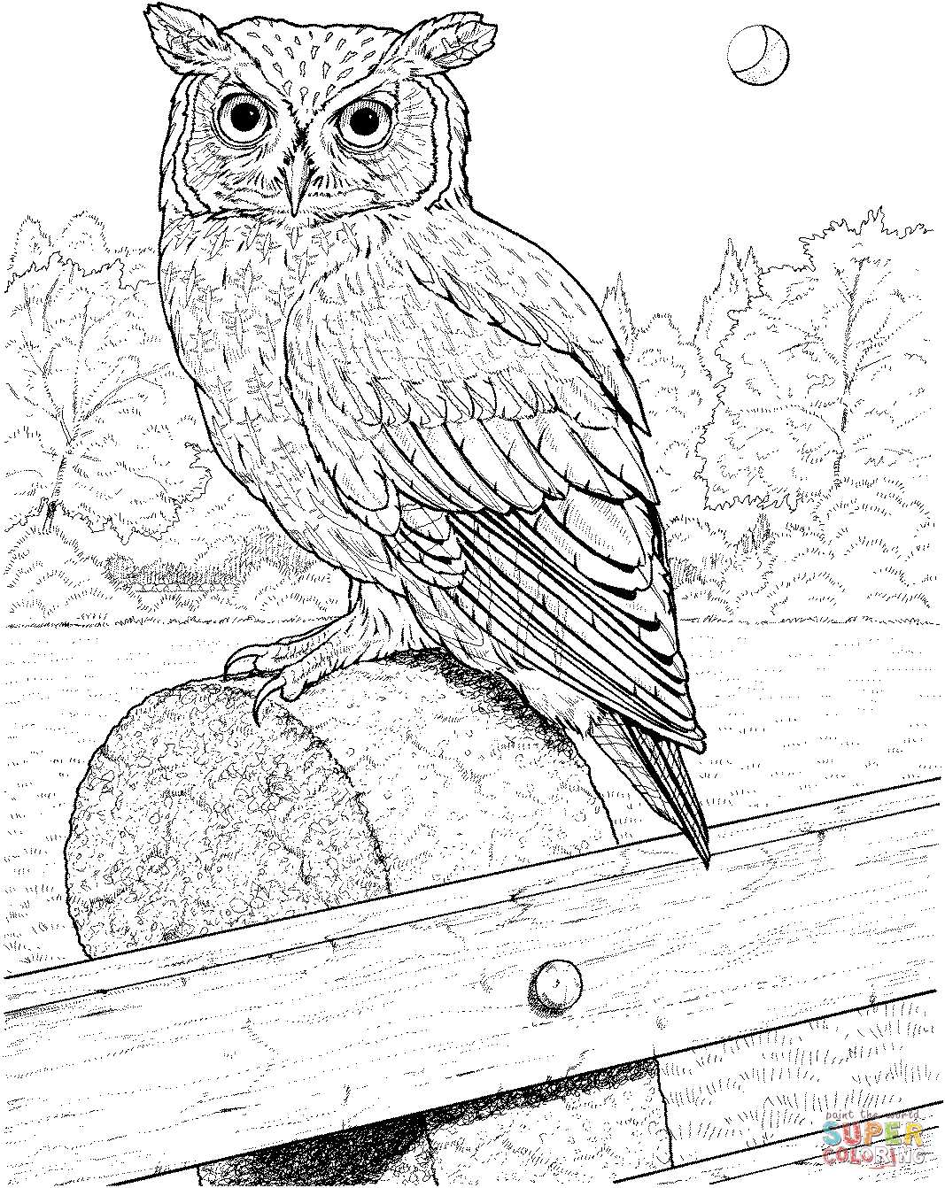 owl printable coloring pages
