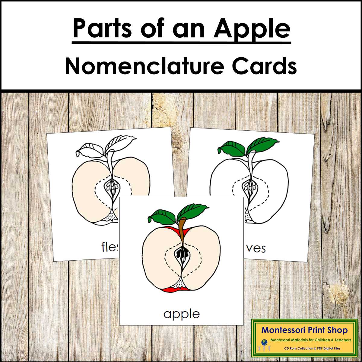 parts of an apple printable