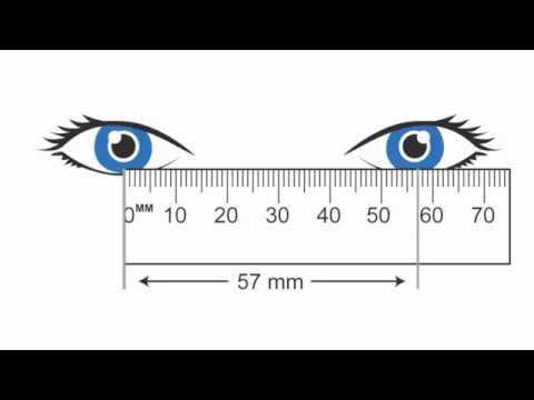 pd ruler printable
