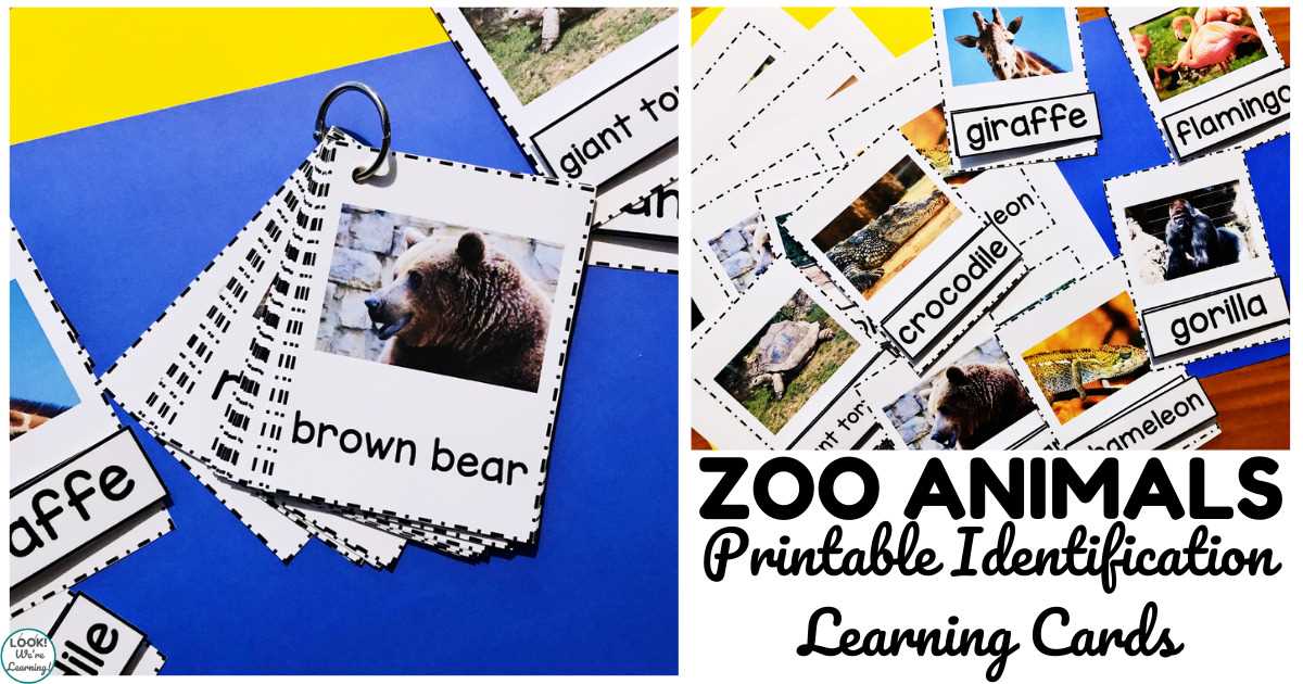 printable zoo animals