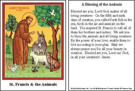 prayer of st francis printable