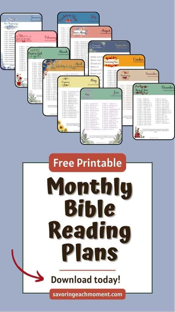 printable 1 year bible reading plan