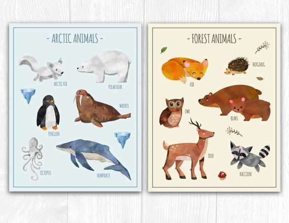 printable arctic animals