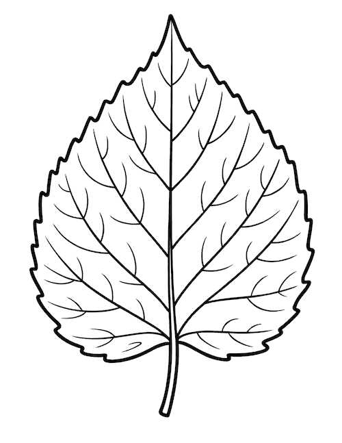 printable autumn leaf templates